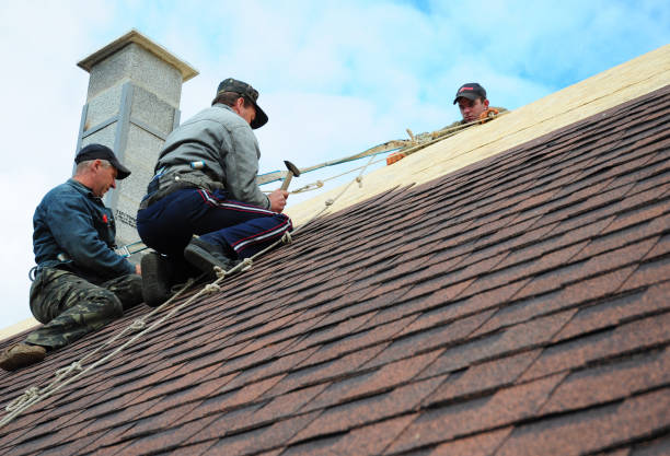 Roof Gutter Cleaning in Providence Village, TX